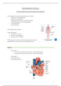 Hoofdstuk 6 - Cardiovascular System and its Control