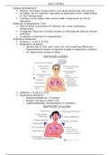 NURS 317L Airway Development Quiz 2 Study Guide