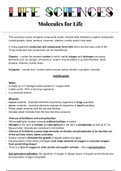 Summary  Life Sciences &lpar;Biology&rpar; &colon; Molecules of life - Grade 10 &lpar;10th grade&rpar;