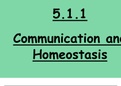 Homeostasis Summary slides A Level Biology for OCR A Year 2 Revision Guide.