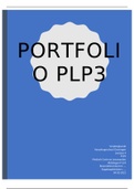 Portfolio PLP2/PLP3
