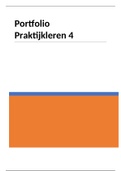 Praktijkleren 4