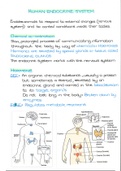 The Human Endocrine System (Full Section for IEB Matric)