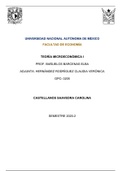 Apuntes completos de Microeconom&iacute;a