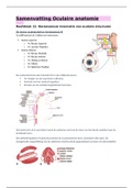 Oculaire anatomie: Hersenzenuw innervatie van oculaire structuren