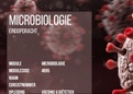 Voor- en eindopdracht + correctiemodel microbiologie Hogeschool NTI Voeding & Diëtetiek jaar III