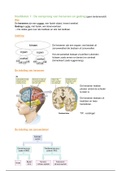 Samenvatting en oefentoets van hersenen en gedrag