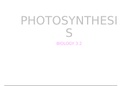 Detailed Photosynthesis Powerpoint