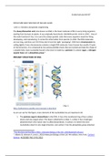  UNIT 11: genetics and genetic engineering  