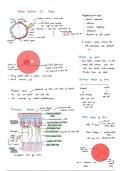 Retina