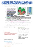Summary of nephrotic and nephritic diseases of the kidney
