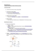 neuroscience Chapter 2 Notes