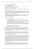 Class notes Derecho Internacional 