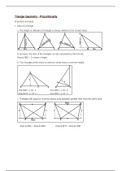 Triangle Geometry (Proportionality) - Mathematics Grade 12 (IEB)
