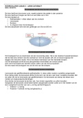 Hoorcollege blok C casus 3 Lens&comma; Cataract 