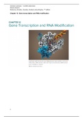Genetics Brooker summary chapter 12 - Gene transcription and RNA modification