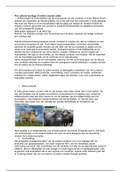 Samenvatting van artikel Marvin Harris The cultural ecology of india’s sacred cattle