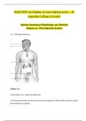 TEAS TEST 101 Chapter 16 exam (Spring 2020) | Human Anatomy & Physiology_The Endocrine System