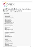 TEST BANK &lowbar; SOPHIA&lowbar;Unit&lowbar;5&lowbar;Tutorials&lowbar;2020 &vert; SOPHIA&lowbar;Unit&lowbar;5&lowbar;Tutorials&lowbar;Endocrine&lowbar;Reproductive&lowbar;Digestive&lowbar;Urinary&lowbar;Systems&lowbar;2020