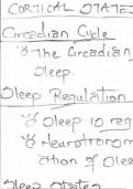Cortical States