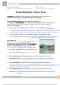 Gizmos Student Exploration _ Carbon Cycle_2021 |  Biology 102 Carbon Cycle _ Graded A