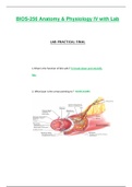 BIOS256 / BIOS 256 Lab Practical Final (Latest): Anatomy & Physiology IV with Lab - Chamberlain