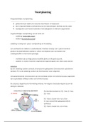 Biologie voortplanting  samenvatting 4VWO&sol;5VWO