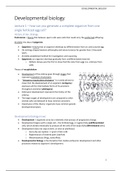 Samenvatting/summary developmental biology (specialization biomedical research)