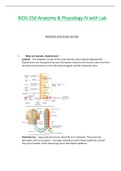 BIOS256 &sol; BIOS 256 Revision Guide &lpar;Latest&rpar;&colon; Anatomy & Physiology IV with Lab - Chamberlain