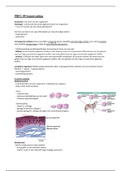 PBFG09 Fysiologie en Anatomie