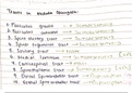 Tracts of medulla oblongata