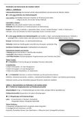 Zusammenfassung im Modul: Methoden und Instrumente der Sozialen Arbeit I (DLBSAMISA01)