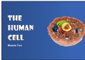 The human cells