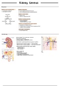 The Kidney - Renal physiology (Guyton & Hall)