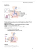 Thoraxdrainage, pneumothorax en spanningspneumothorax