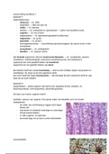 Biologie voor jou 4a hoofdstuk 1 inleiding in de biologie samenvatting