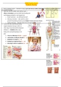HESI Practice Exam Pediatric Nursing_2020 | HESI Pediatric Nursing Exam