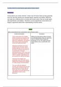 Conservatism essay plans 