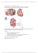 Hoorcolleges cardiologie 2.1 samengevat in één document
