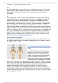 Unit 1: Assignment 1 Anatomy and Physiology