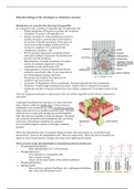 Summary of the course Molecular Biology of the Cell 2 