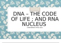 DNA , RNA , PROTEIN SYNTHESIS SUMMARY( IEB)