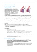 College Perinatale hersenschade (deel 2) (Pediatrische Neuropsychologie)