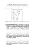 Actividad de Oceanografía Química (UCV Ciencias del Mar) - Atlántico vs Pacífico