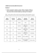 Actividad de Oceanografía Química (UCV Ciencias del Mar) - Ambientes Diagenéticos