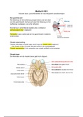 Optometrie Anatomie & Fysiologie Jaar 1 Blok C - Visuele baan, gezichtsvelden en neurologische aandoeningen
