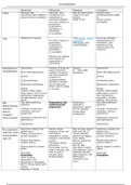NUR210 Pharmacology Notes&sol;Unit 2 drugs &lpar;with all benzodiazepines from 2 and 3&rpar; worksheet-4 