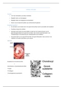 Samenvatting anatomie les 6- 14 Lo & Br 2021