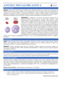 Anemia Megaloblástica: Resumen del tratamiento y diagnóstico 