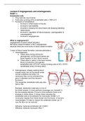 Lecture 6 Angiogenesis and arteriogenesis